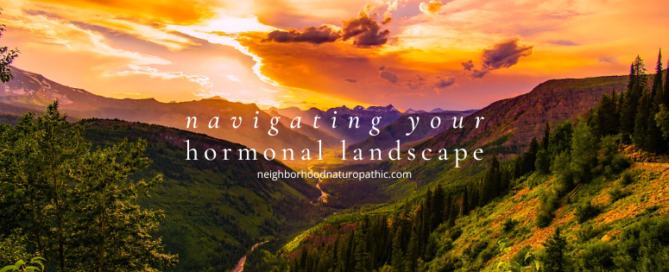 mountainous landscape with vibrant sunset representing the changing landscape of growing older and changes in hormones with the overlay text that reads: "navigating your hormonal landscape"