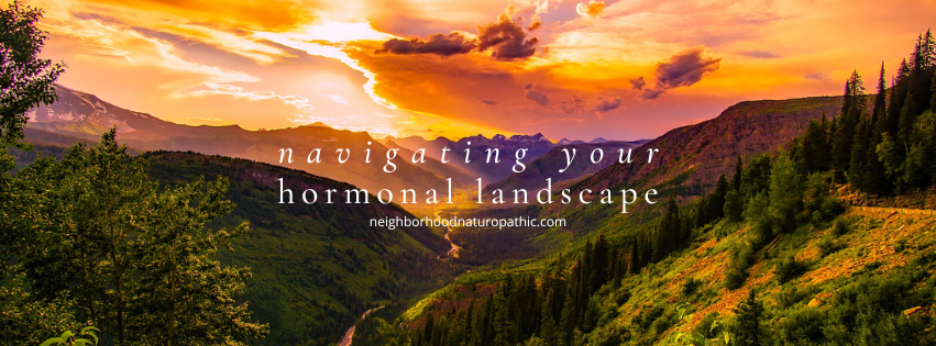 mountainous landscape with vibrant sunset representing the changing landscape of growing older and changes in hormones with the overlay text that reads: 'navigating your hormonal landscape'