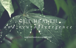 Close-up of dew-covered dark green leaves with overlay text 'GUT HEALTH AND NEURODIVERGENCE', symbolizing vitality and growth in neurodiverse conditions at Neighborhood Naturopathic in Minneapolis St Paul