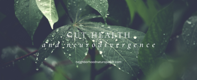 Close-up of dew-covered dark green leaves with overlay text 'GUT HEALTH AND NEURODIVERGENCE', symbolizing vitality and growth in neurodiverse conditions at Neighborhood Naturopathic in Minneapolis St Paul