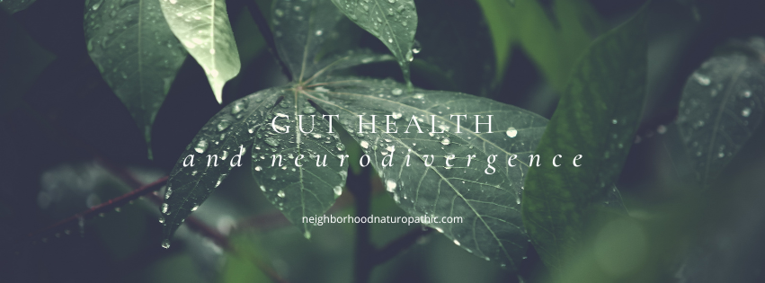 Close-up of dew-covered dark green leaves with overlay text 'GUT HEALTH AND NEURODIVERGENCE', symbolizing vitality and growth in neurodiverse conditions at Neighborhood Naturopathic in Minneapolis St Paul