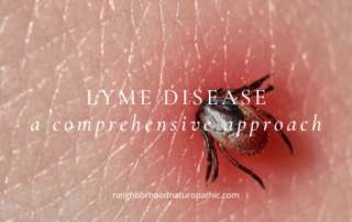 a tick burrowing into skin that is red and irritated, representing Comprehensive Lyme disease treatment at Neighborhood Naturopathic in Minneapolis St Paul