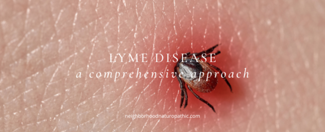 a tick burrowing into skin that is red and irritated, representing Comprehensive Lyme disease treatment at Neighborhood Naturopathic in Minneapolis St Paul