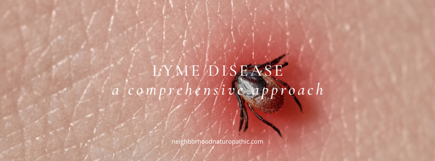 a tick burrowing into skin that is red and irritated, representing Comprehensive Lyme disease treatment at Neighborhood Naturopathic in Minneapolis St Paul