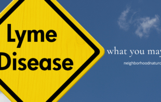 Chronic Lyme disease symptoms and treatment support at Neighborhood Naturopathic in Edina, MN