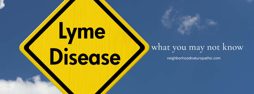 Chronic Lyme disease symptoms and treatment support at Neighborhood Naturopathic in Edina, MN