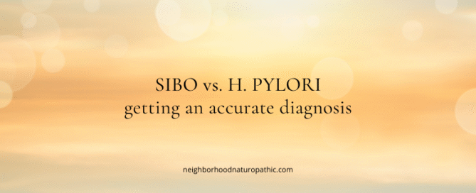 SIBO vs H. pylori digestive health testing and treatment at Neighborhood Naturopathic Edina MN
