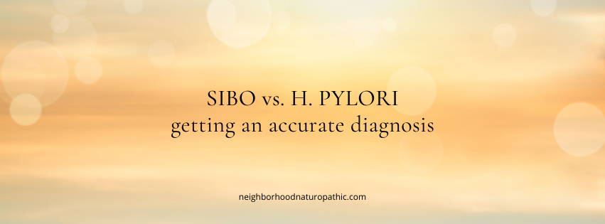 SIBO vs H. pylori digestive health testing and treatment at Neighborhood Naturopathic Edina MN