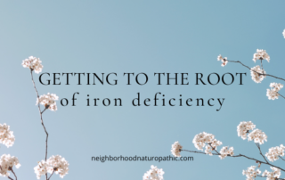 Iron infusion therapy IV treatment for low ferritin functional medicine naturopathic doctor in Edina MN