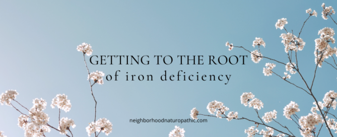 Iron infusion therapy IV treatment for low ferritin functional medicine naturopathic doctor in Edina MN