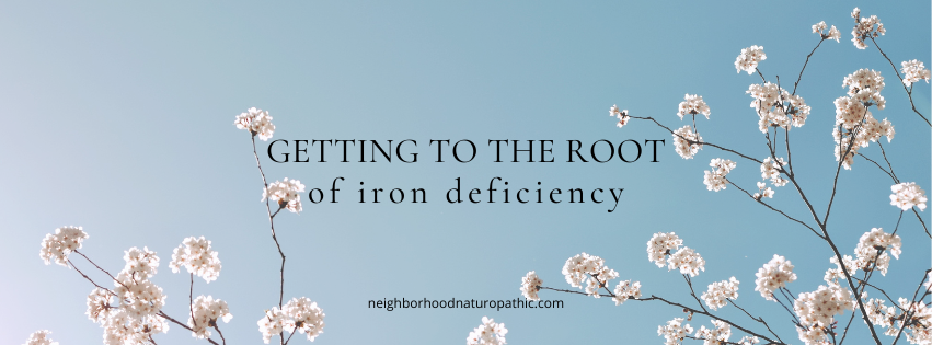 Iron infusion therapy IV treatment for low ferritin functional medicine naturopathic doctor in Edina MN